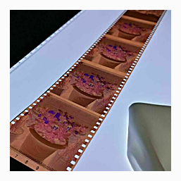 Medium Format Film Scanning